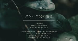 タンパク質の講座