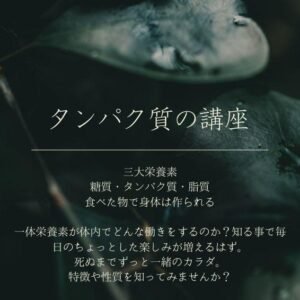 タンパク質の講座