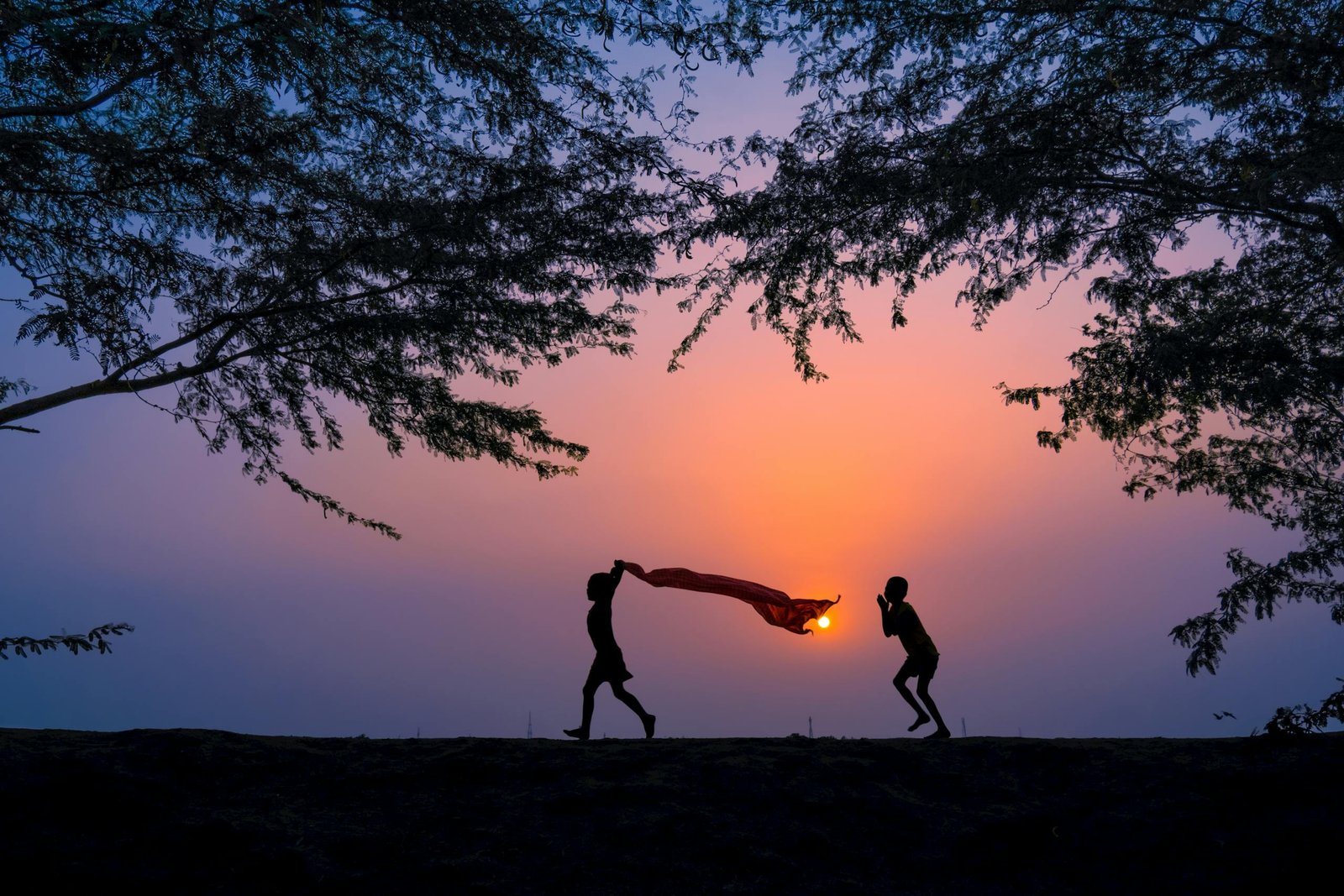Silhouette of children playing under trees at sunset in Canning, India.